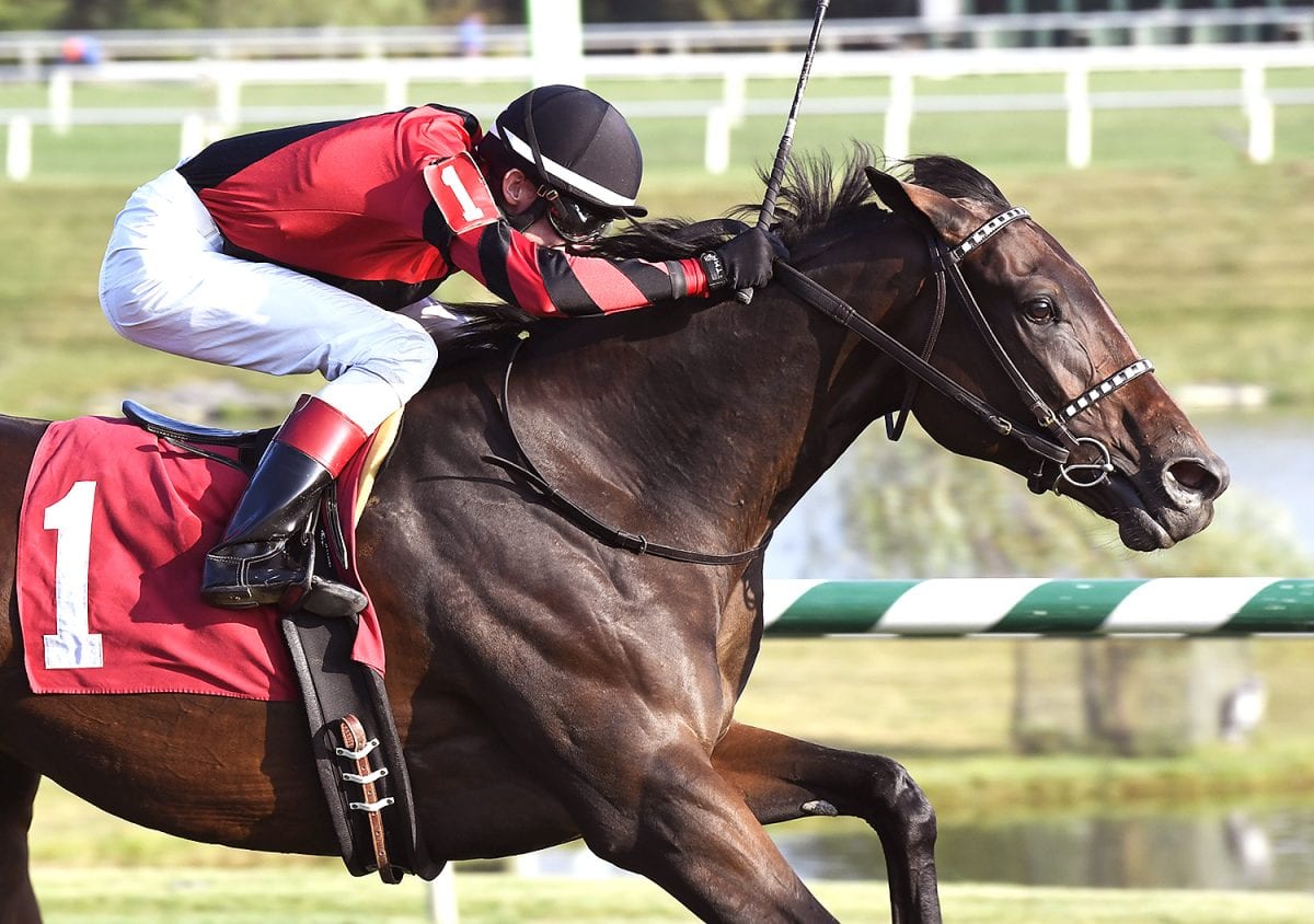 Two Horses Bred By Lazy Lane Farms Close Out February With Wins