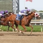“Pleasant surprise” as Contrarity becomes first Maryland 2yo winner of 2017