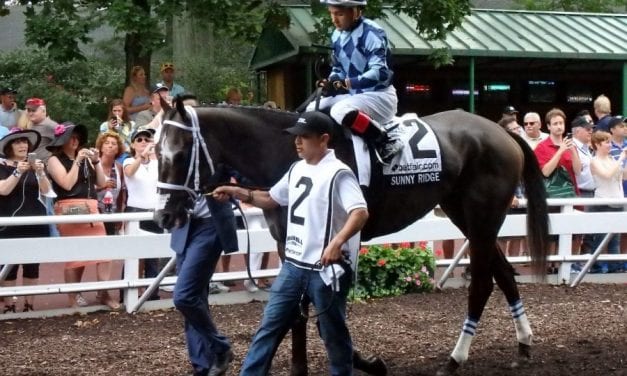 Sunny Ridge earns top NJ-bred honors