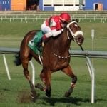 “Long journeys” merge for Grant, de Tomaso and their horses
