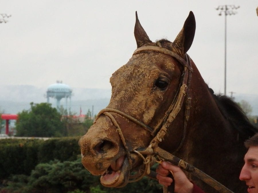Opinion: Approve the Charles Town stakes schedule
