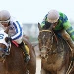 Asmussen loaded for Preakness weekend bear