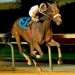 575 catalogued for Fasig-Tipton two-year-old sale