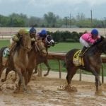 Audible jumps up in newest NTRA Top Thoroughbred Poll