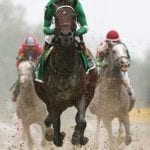Laurel to hold first 2017 baby race Saturday