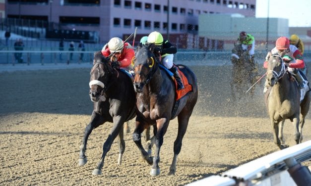 “Long journeys” merge for Grant, de Tomaso and their horses