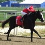 After romp, Shimmering Aspen may try stakes company