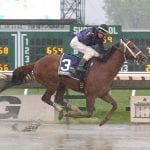 Royal Mo injured, out of Preakness