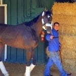 Cloud Computing on track for Preakness date