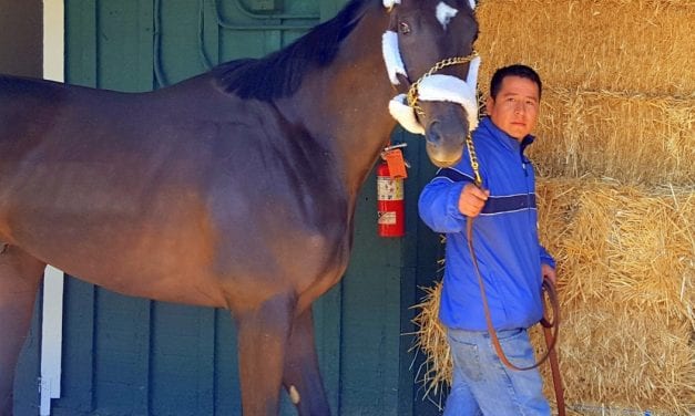 Derby champ Always Dreaming first to arrive at Pimlico
