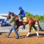 Ben’s Cat set for title defense in McKay Turf Sprint