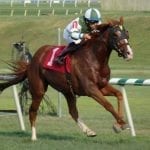 Shaman Ghost aiming at Pimlico Special