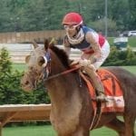 Preakness odds, post positions; Always Dreaming 4-5