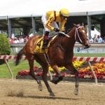 Horseracing Integrity Act introduced in Congress