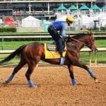 Stellar Wind repeats as Va-bred champion