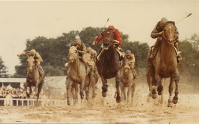 40 years after Deputed Testamony: why no Maryland-bred Preakness winner since?