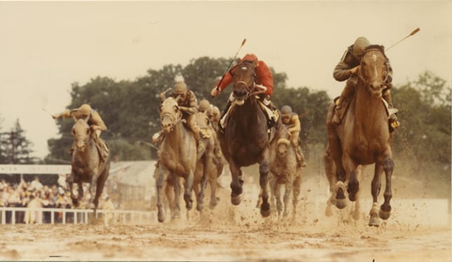 40 years after Deputed Testamony: why no Maryland-bred Preakness winner since?