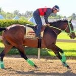 Preakness profiles: Multiplier