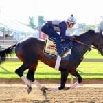 Dancing Rags looks to find winning form in Black-Eyed Susan