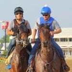 Preakness profiles: Classic Empire