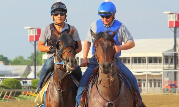 Dottie Miller’s Preakness Photo Diary