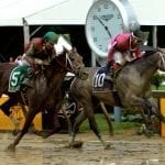 Nominations out for G2 Black-Eyed Susan Stakes