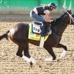 Familiar names to clash in Gold Cup races