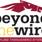 The (almost) fabulous fillies of the Preakness