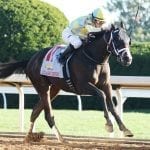 Always Dreaming “very happy” during Preakness prep