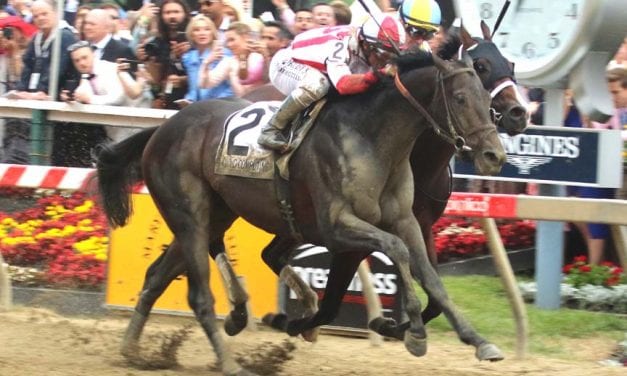 Xpressbet to offer $25,000 Preakness win wager