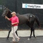 Crop rules give Monmouth Park problems
