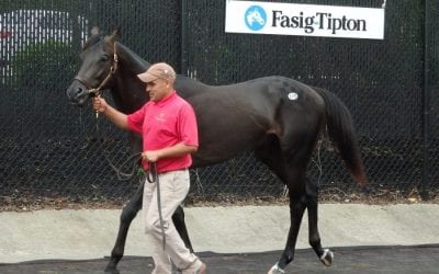 Fasig-Tipton catalogs 18 for March digital sale