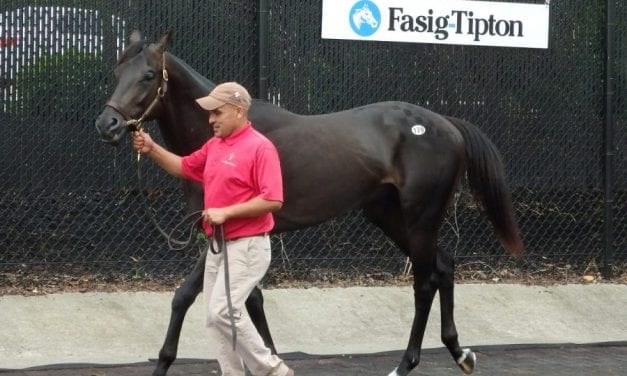 Hopes high for expanded Fasig-Tipton yearling sale