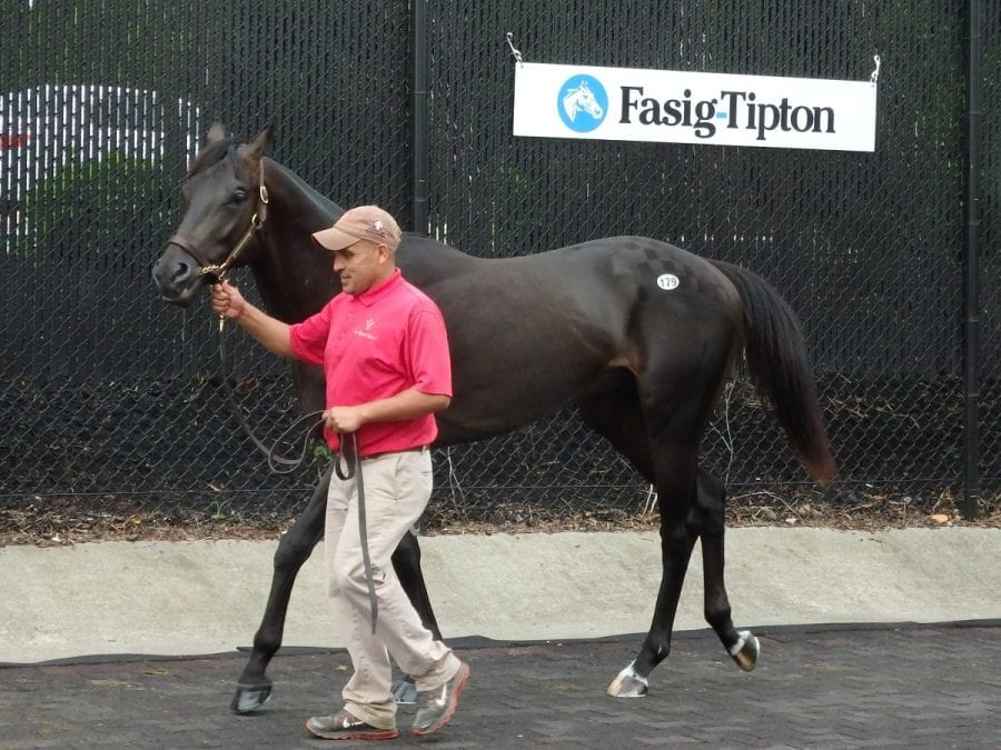 Fasig-Tipton