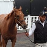 WV Racing Commission rescinds seven naproxen rulings