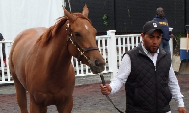 Record Curlin colt powers strong Fasig-Tipton sale