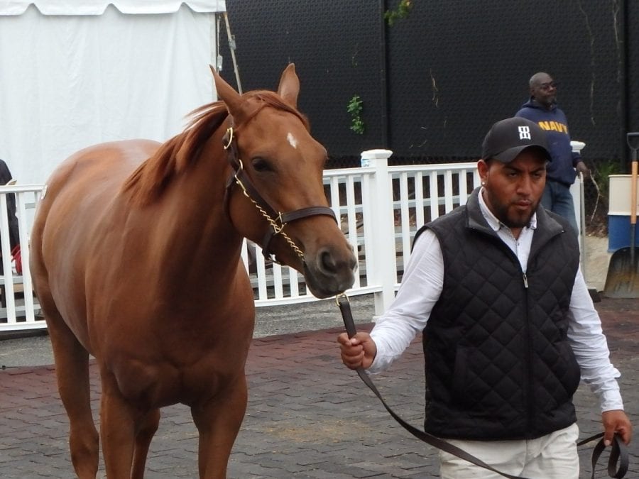 Fasig-Tipton