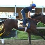 Preakness profiles: Senior Investment