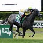Delaware Park horses to watch: June 12