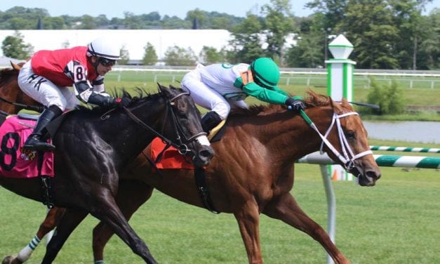 “Coming into her own,” Just Talkin looks for win in Penn Ladies Dash