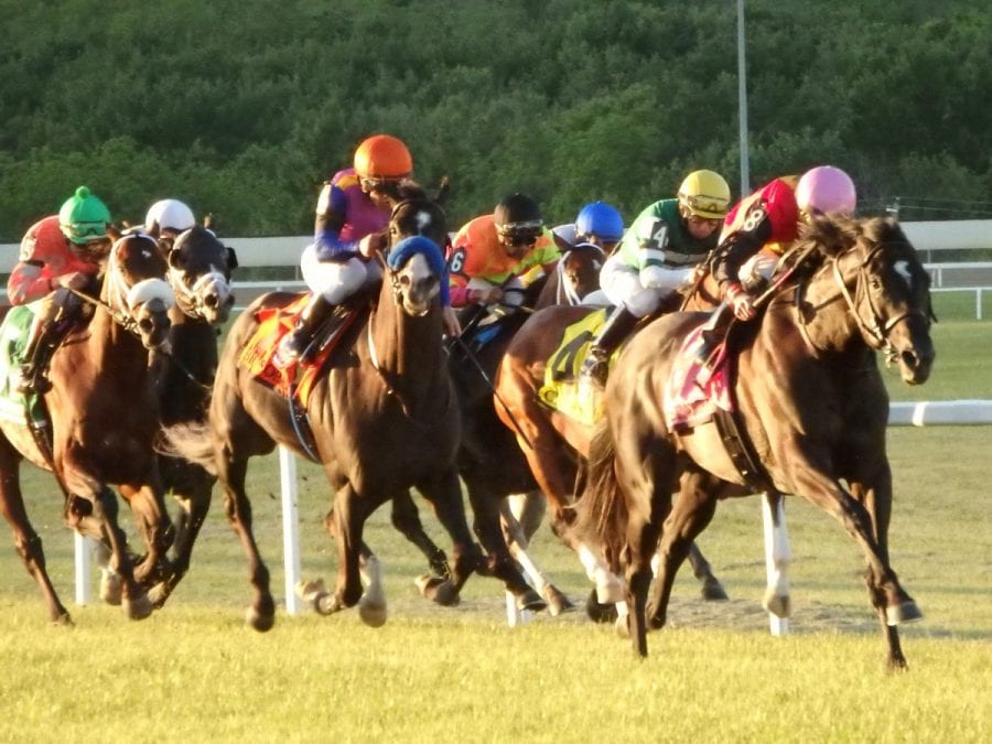 Frostmourne led them home to win the Penn Mile. Photo by The Racing Biz.