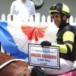 First foal of Long River arrives