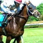 Delaware Park horses to watch: October 4