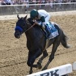 Jockey Edwin Gonzalez making things happen at Delaware Park — and elsewhere