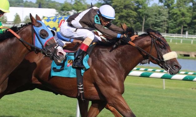 In Focus: Wagering De Francis Dash Day stakes