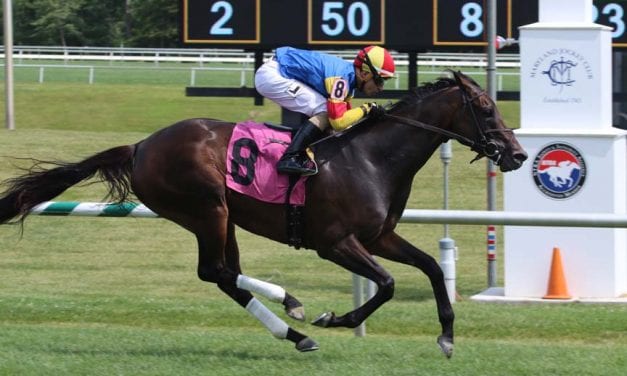 Queen Caroline among familiar names nominated to Va-bred stakes at Laurel