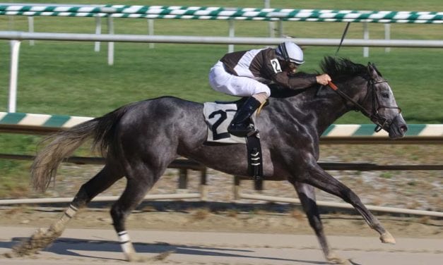 Shimmering Aspen heads Timonium Distaff field