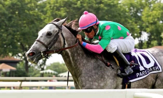 MATCH: Dynatail, Pure Sensation top turf stakes