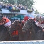 Royal Artillery, Almasty join Pin Oak Lane stallion roster