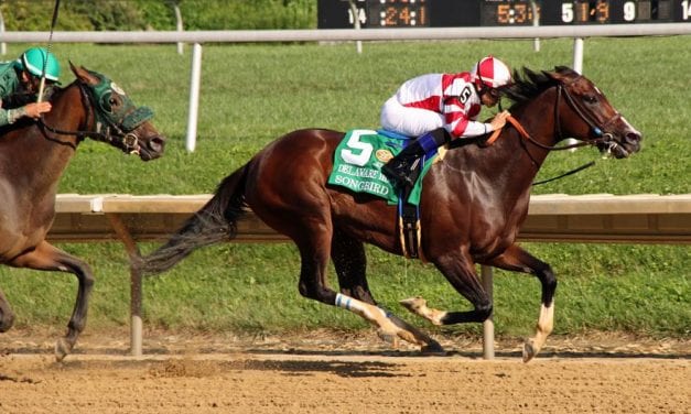 Elate installed as favorite for Delaware Handicap